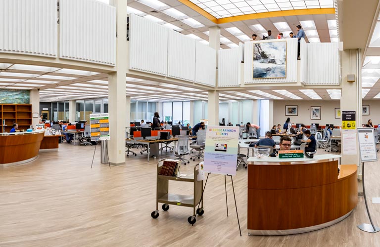 Calder Library University Of Miami Libraries