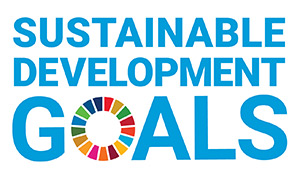 United Nations Sustainable Development Goals logo