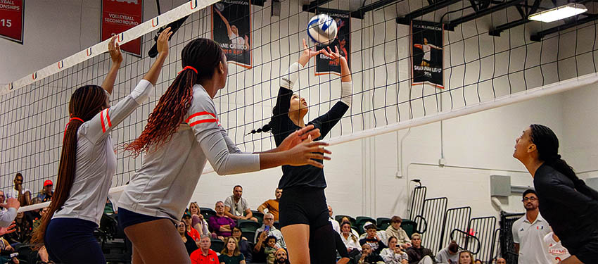 Spring 2026 highlights, exhibitions, upcoming events, and more at the University Libraries.