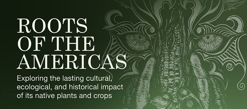 An exhibition exploring the enduring significance of crops native to the Americas and how they reshaped local economies, altered landscapes, and influenced culture throughout the region.