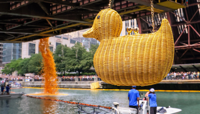Ducky Derby by Lorelei DiSanto